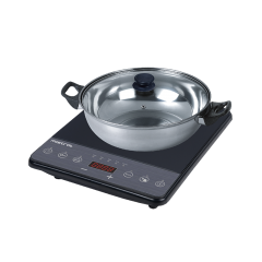 Induction Cooker with Pot